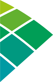 Seta